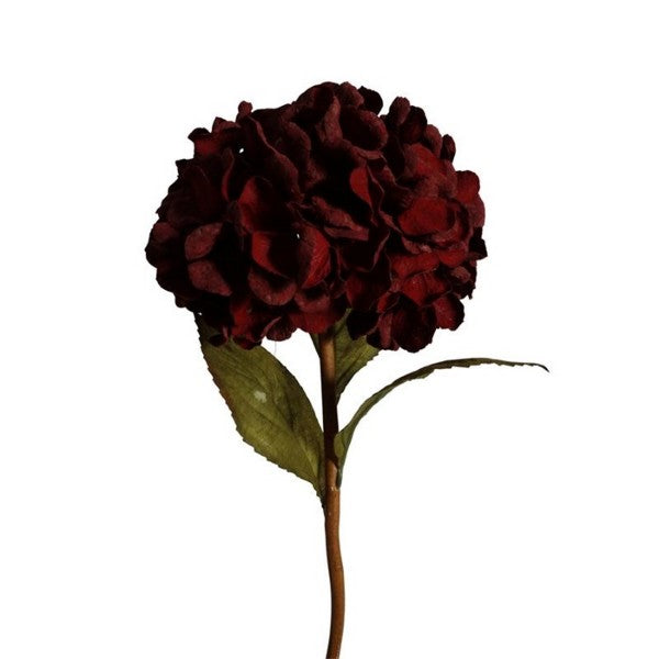 Snittblomma, Hortensia