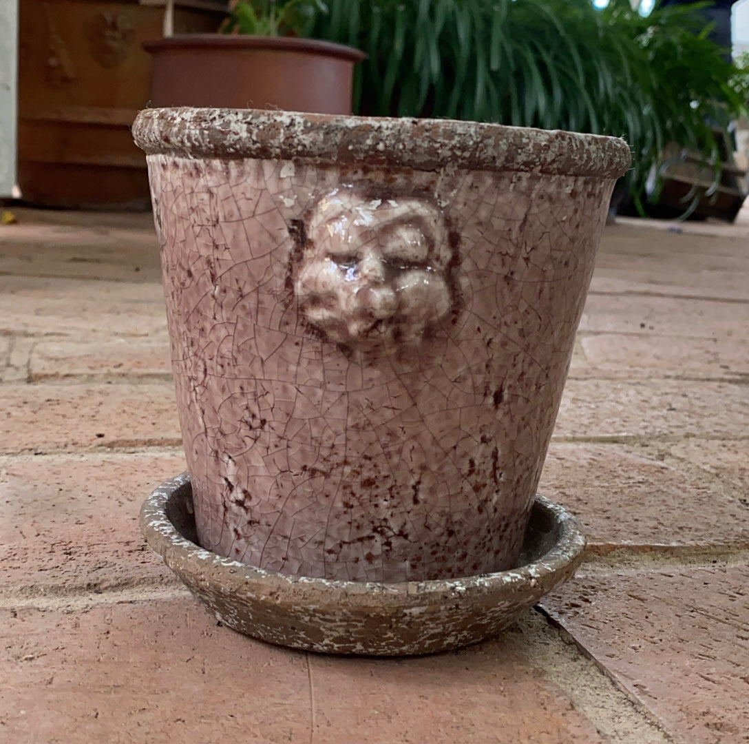 Kruka Lejon, Mörkrosa