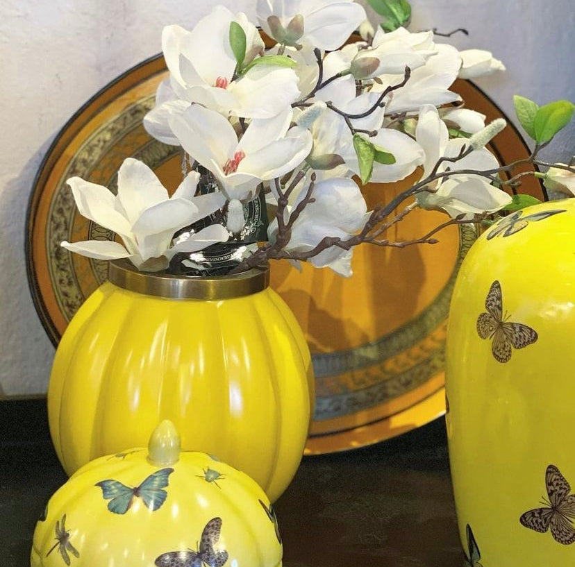 Konstväxt, Magnolia